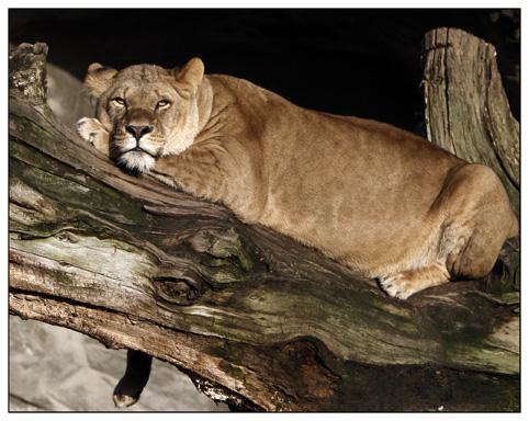 _MG_3599 Kopie_klein.jpg